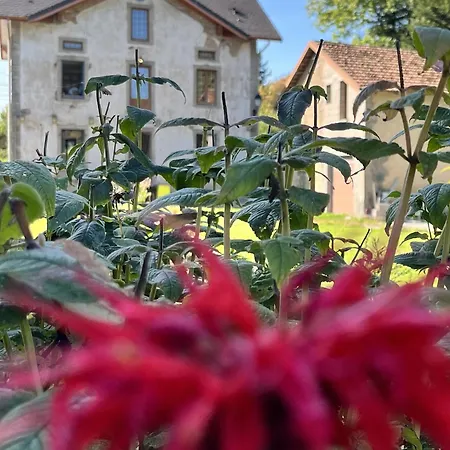 D'hote Nature Domaine Du Bagnerot La Chapelle-aux-Bois