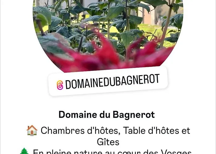 D'hote Nature Domaine Du Bagnerot La Chapelle-aux-Bois